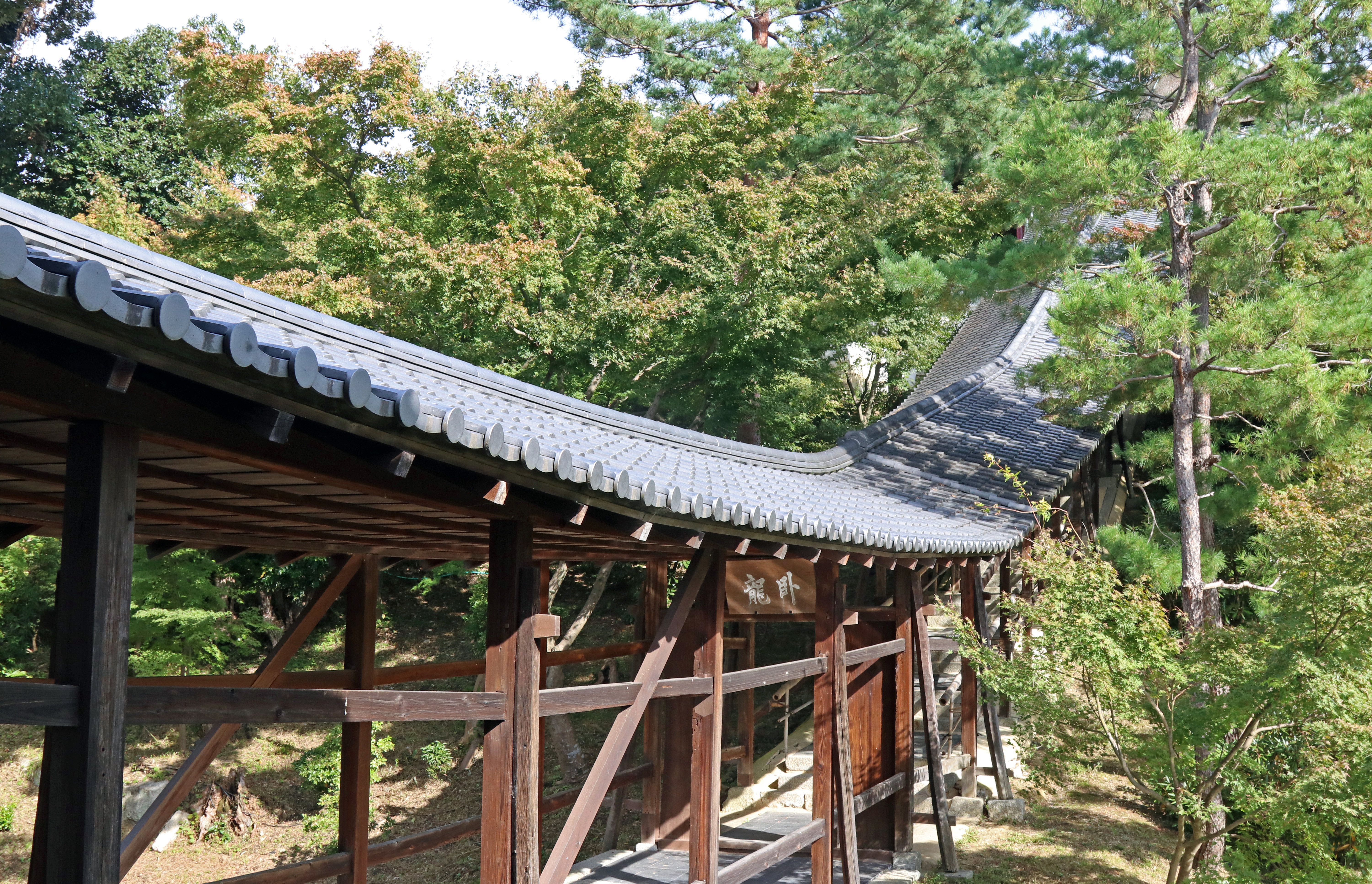 Kodaiji Temple Garden_4