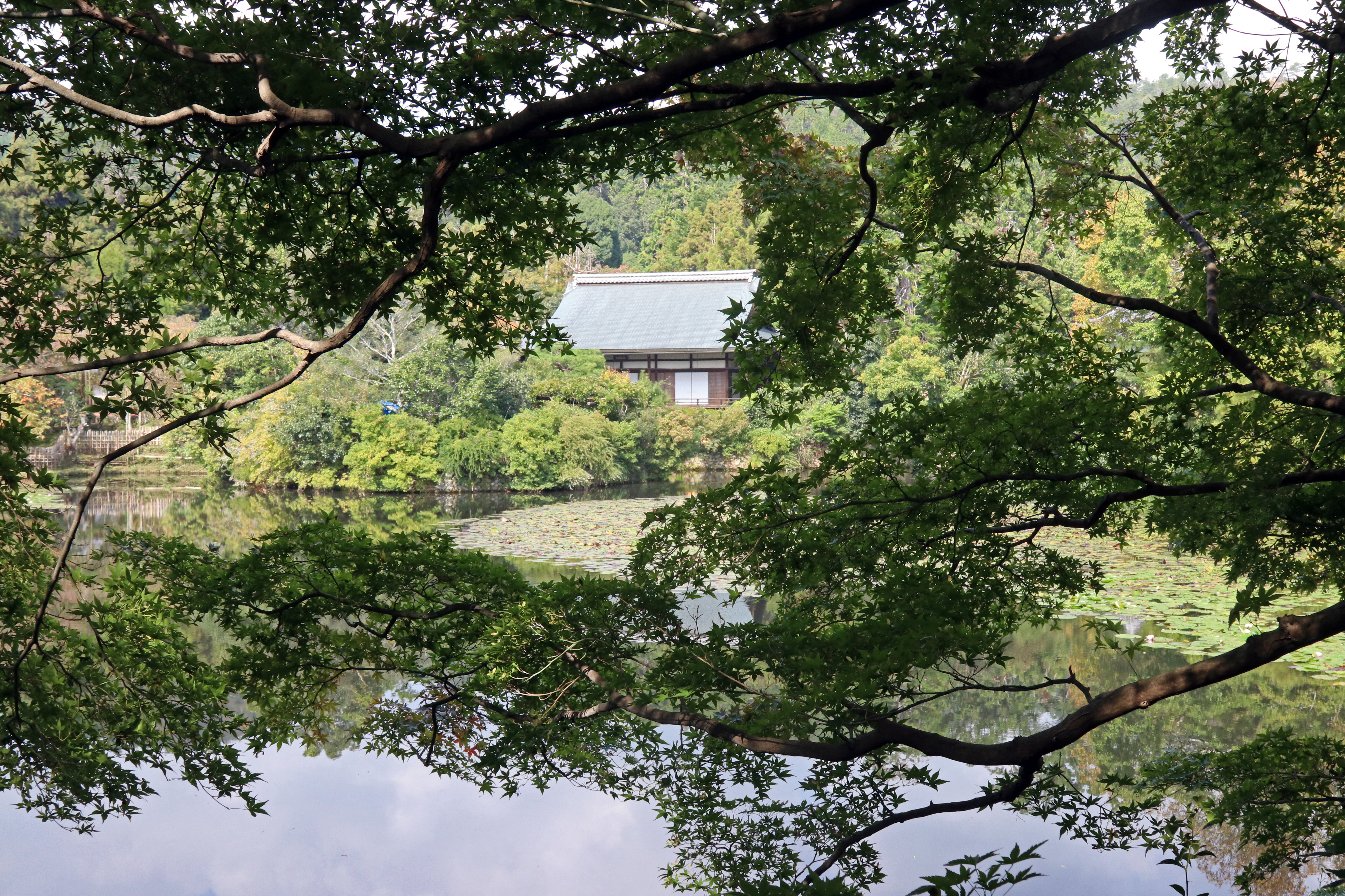 Ryoanji Temple grounds