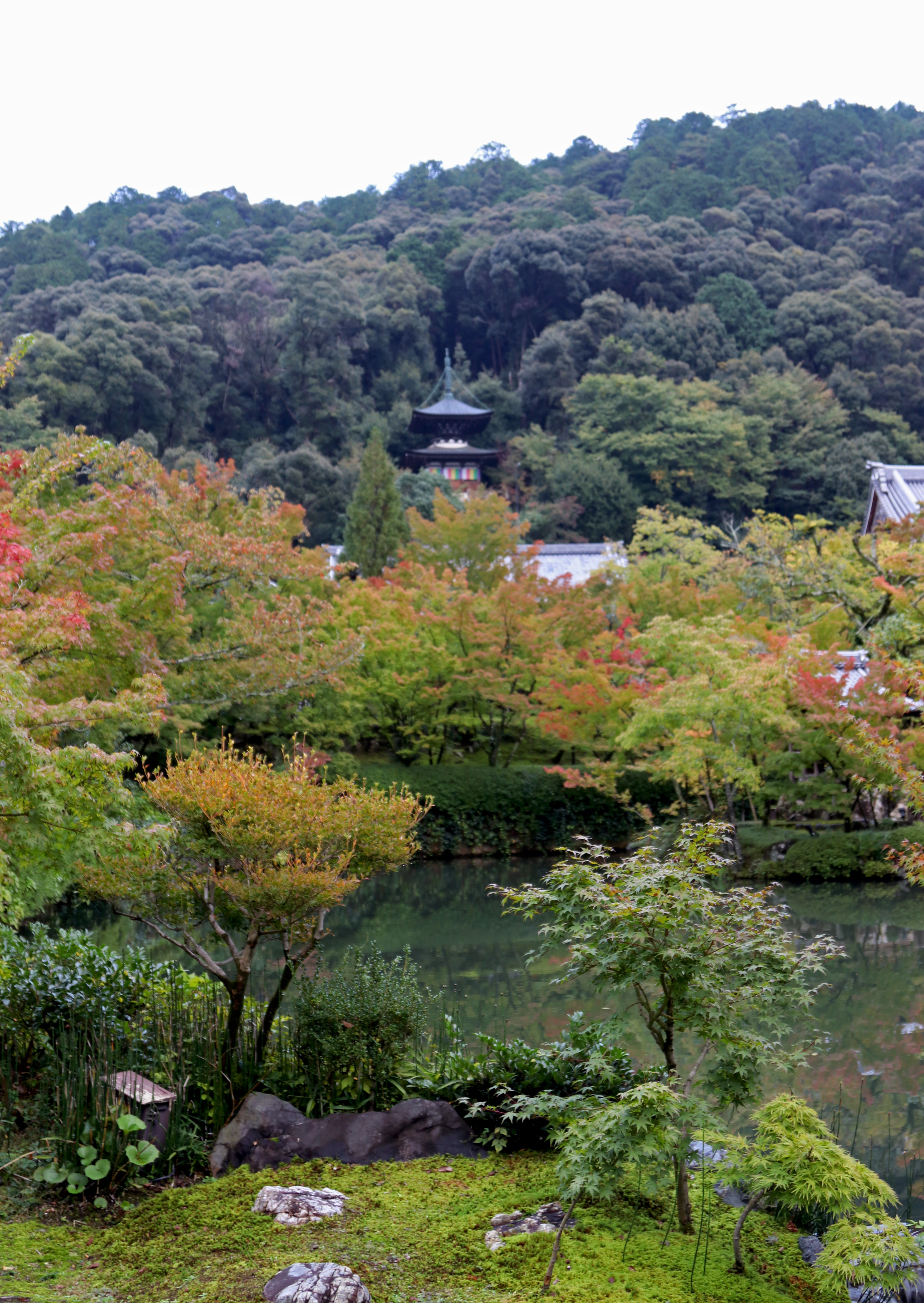 The Tahoto Pagoda on the hillside of Eikando