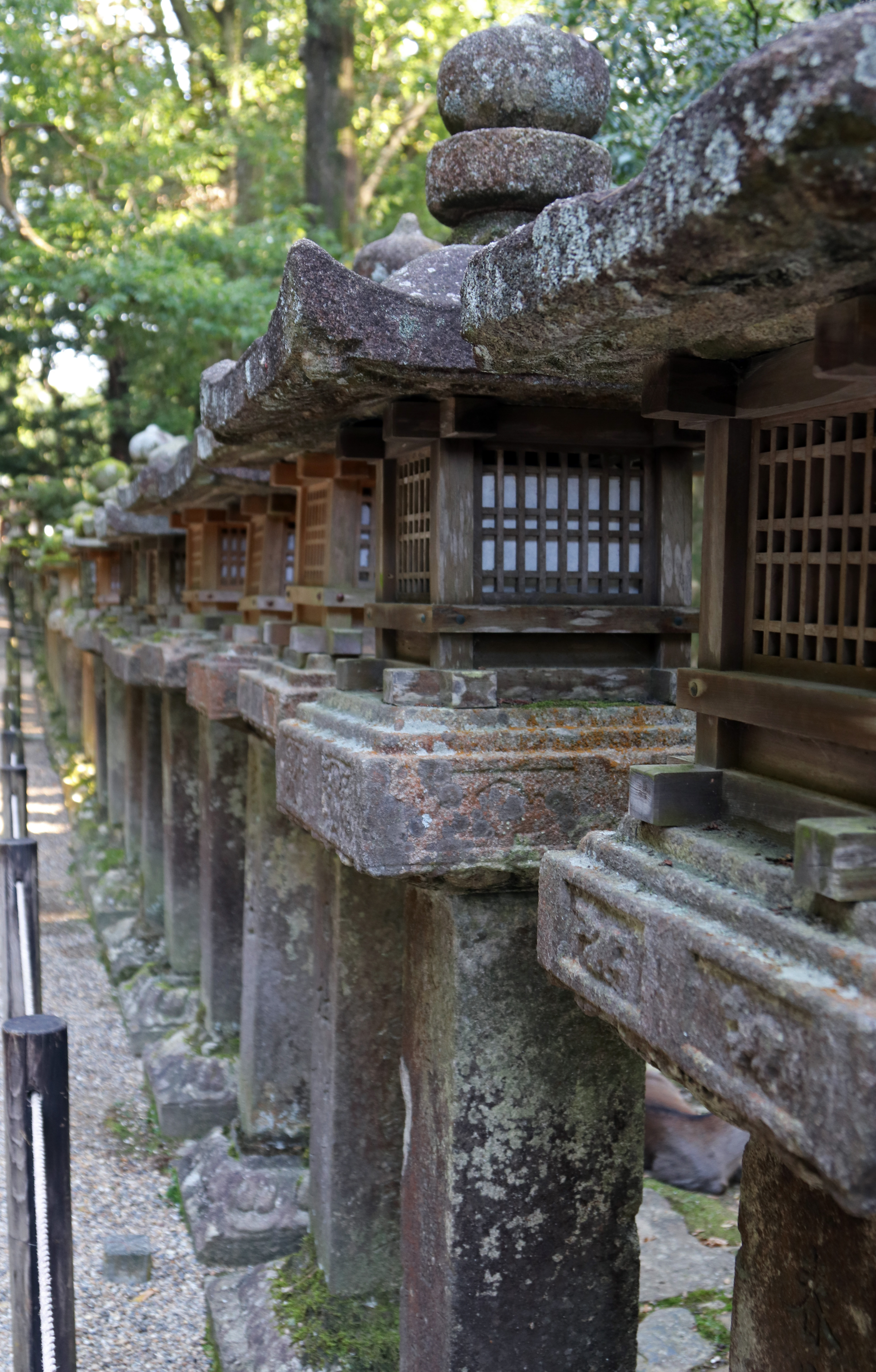Kasuga Taisha Shrine_3