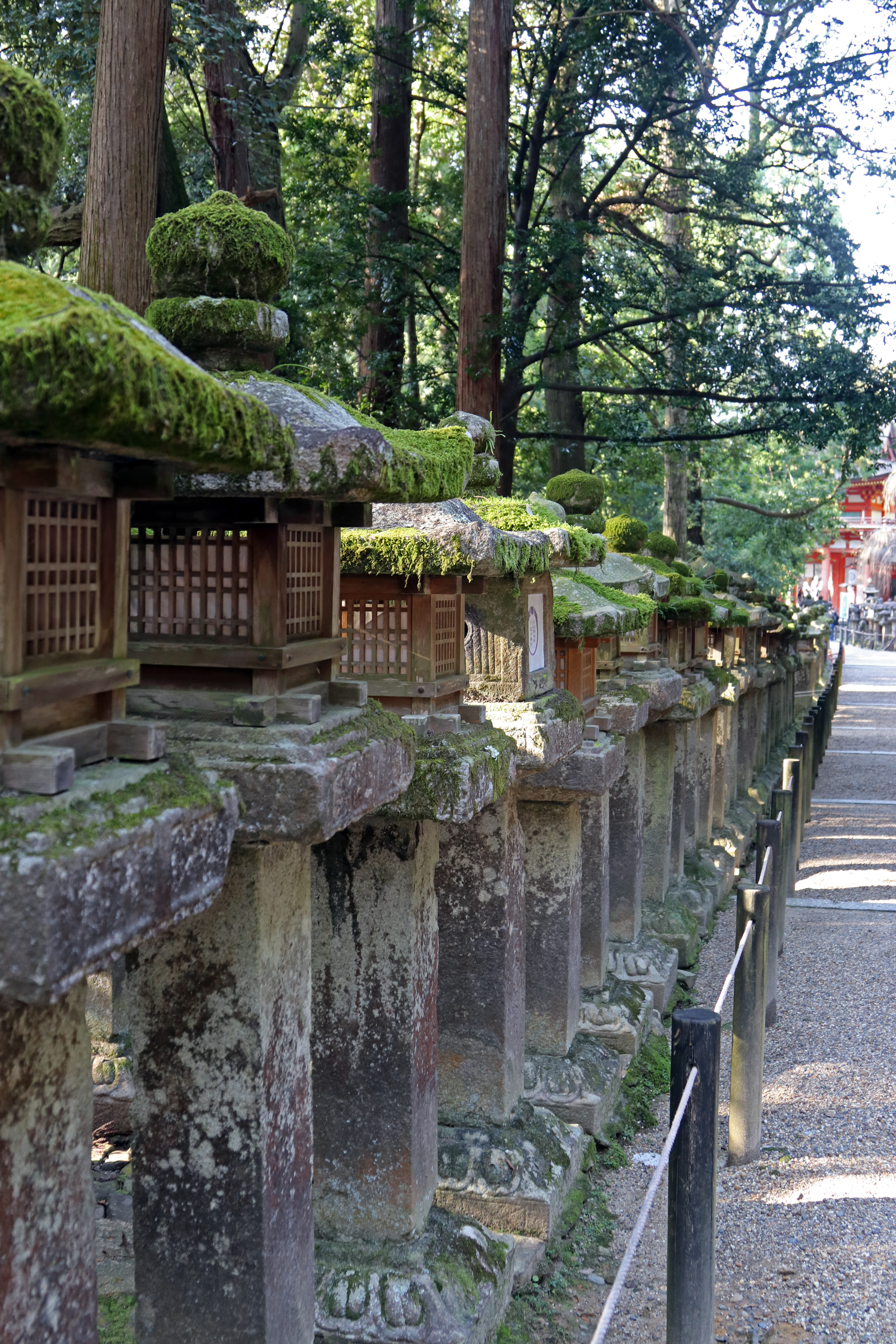 Kasuga Taisha Shrine_4