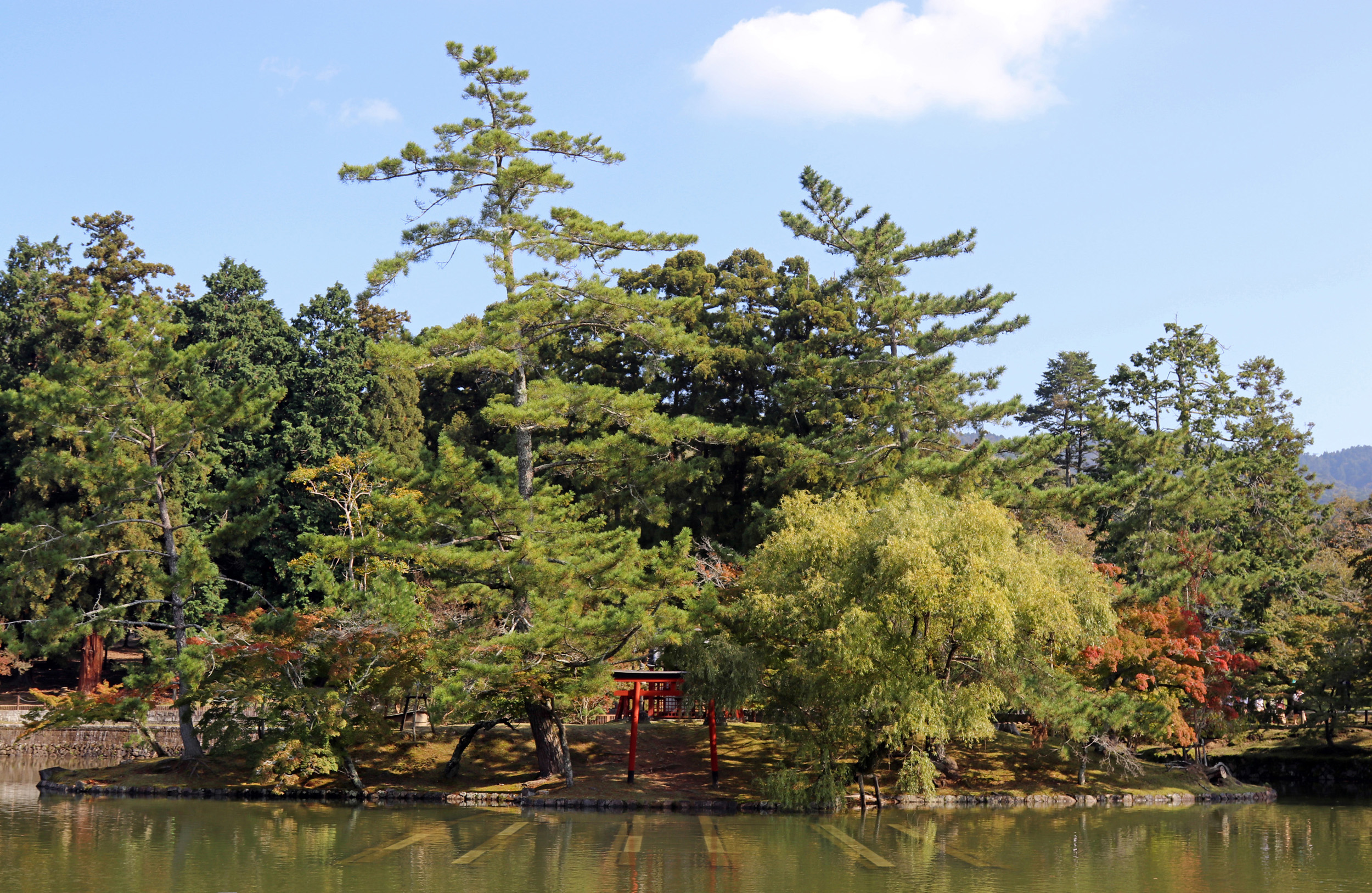 Kagamiike Pond next to Todai_ji Temple