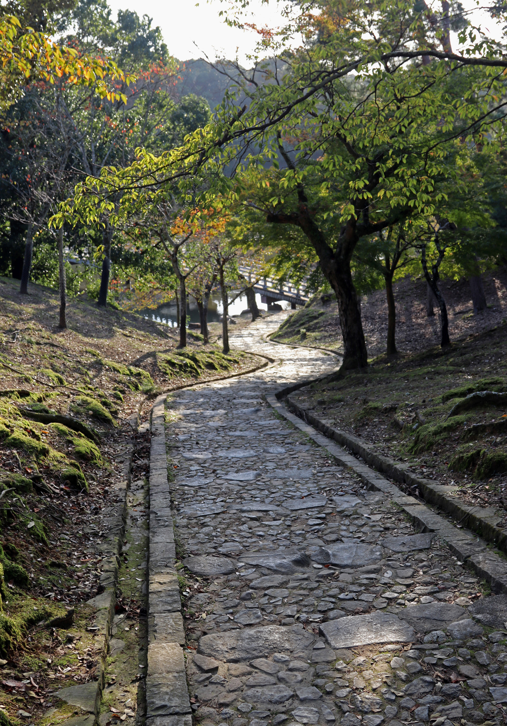 Path Leading down to Sagiike Pond