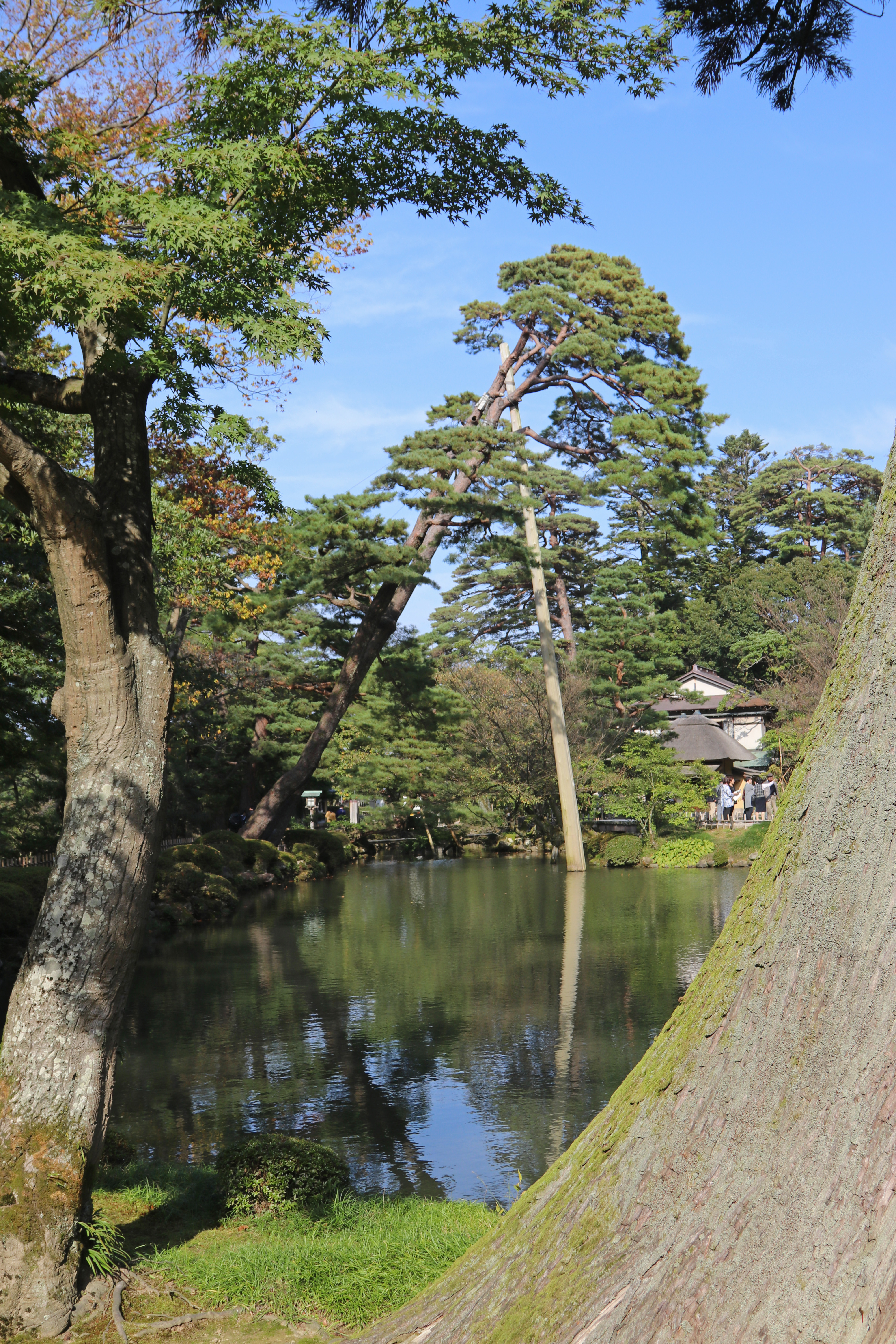 Hisago-ike pond 1