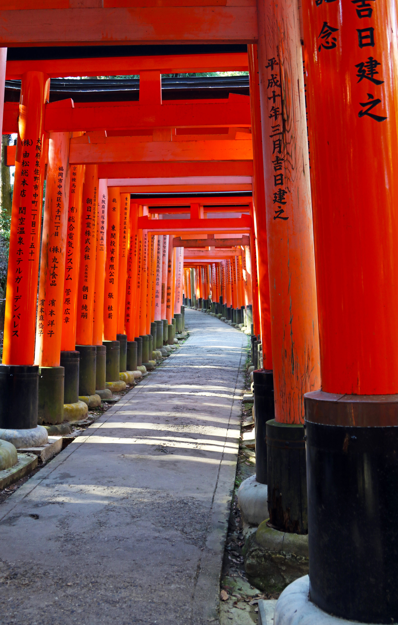 Mount Inari Torri Gates_1