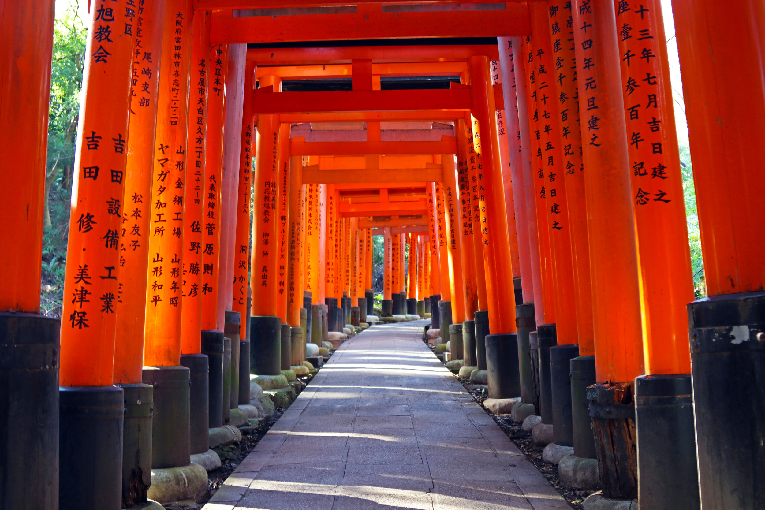 Mount Inari Torri Gates_2