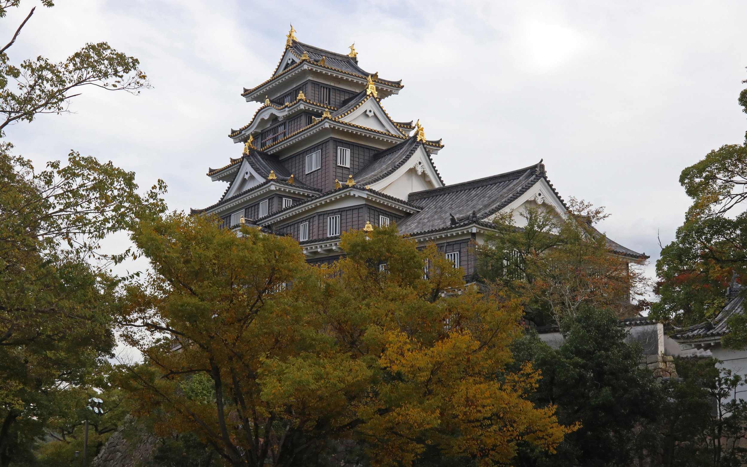 Okayama Castle Hilltop