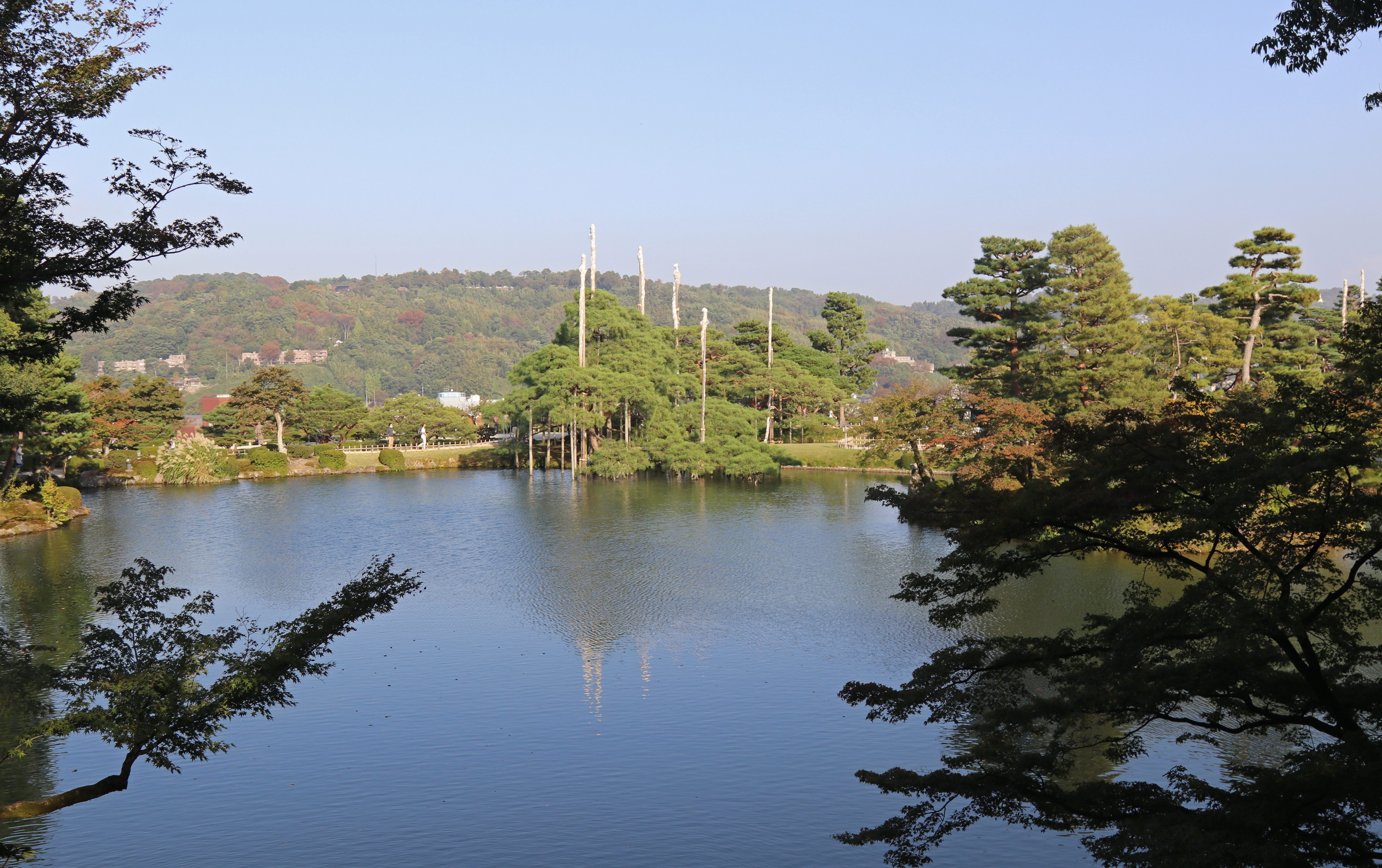 Overview of Kasumigaike Pond