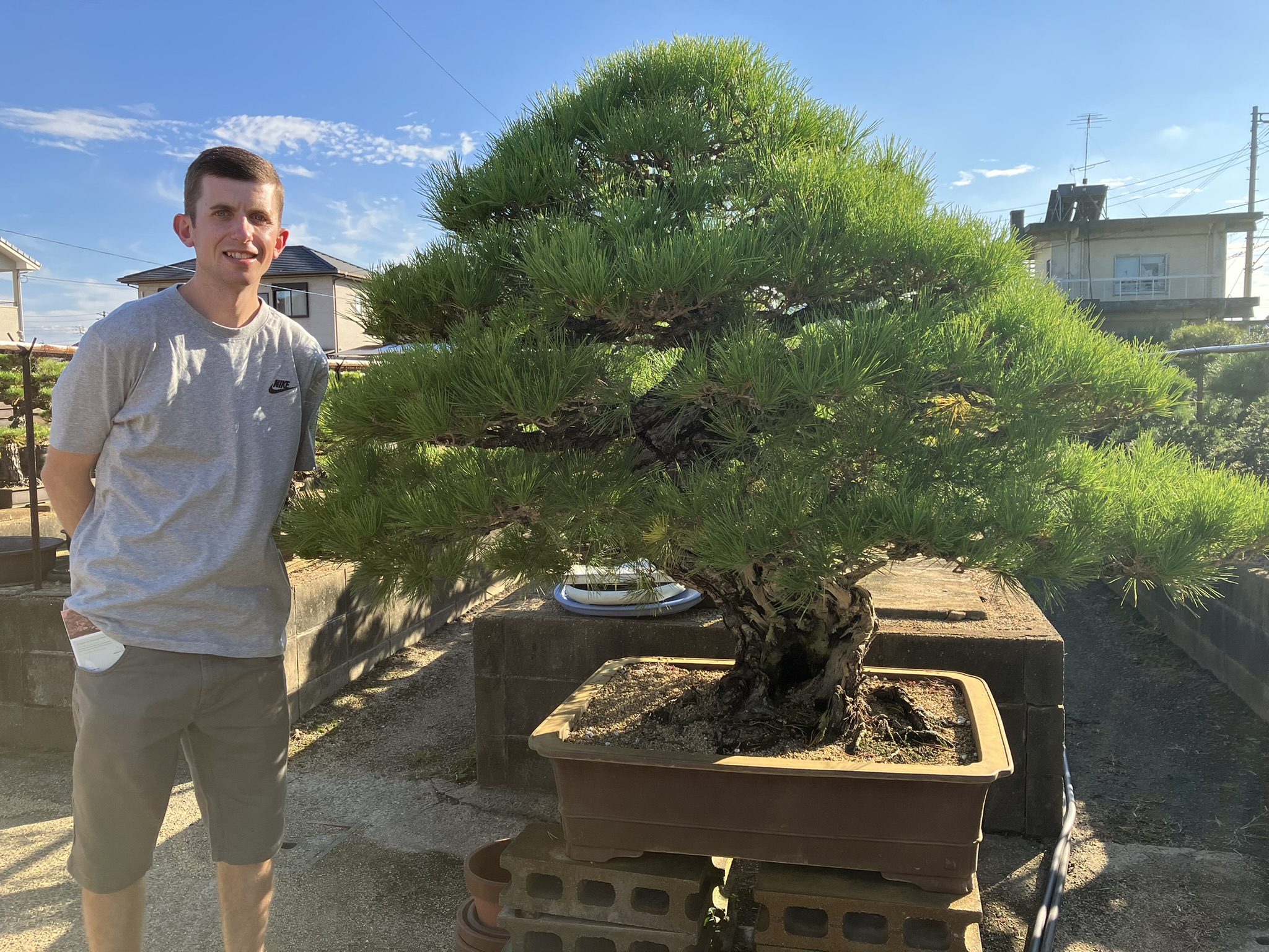 300 Year Old Tree