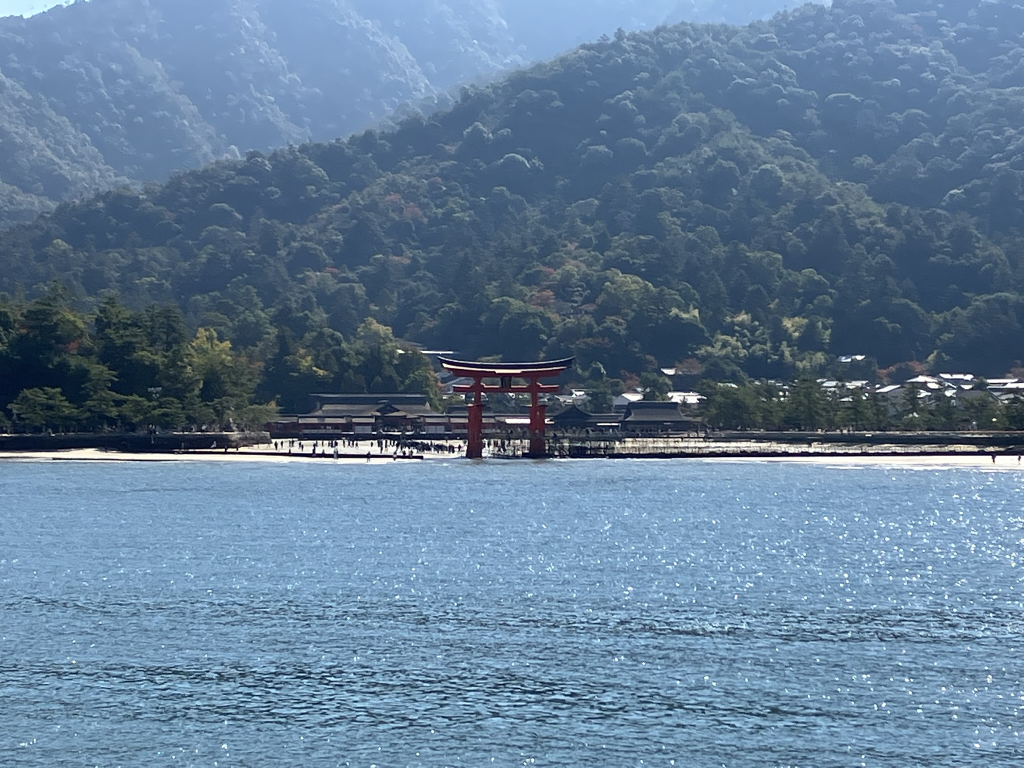 Ferry_torii_gate_view