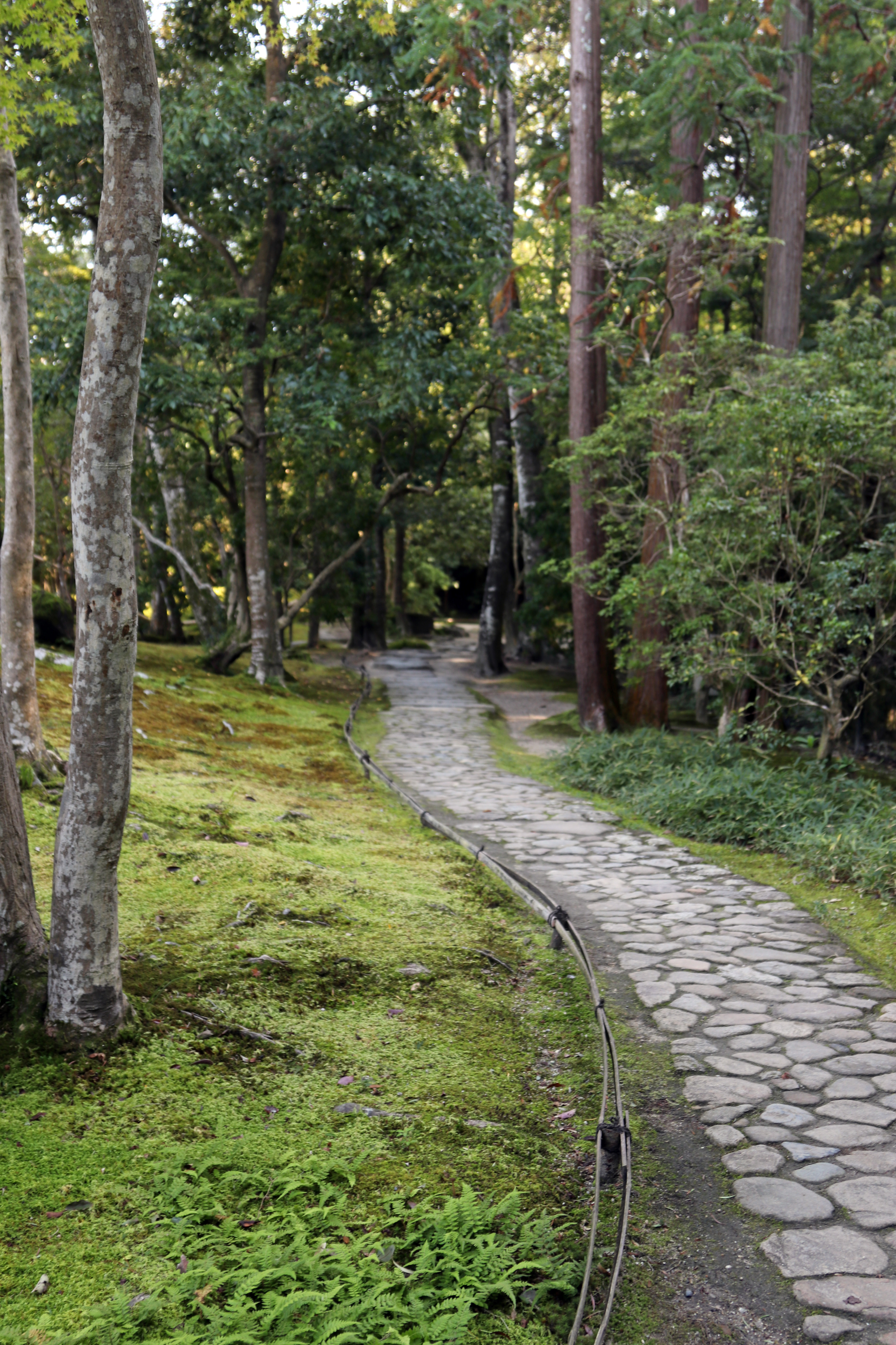 Isuien Garden_9 Isuien Garden_9