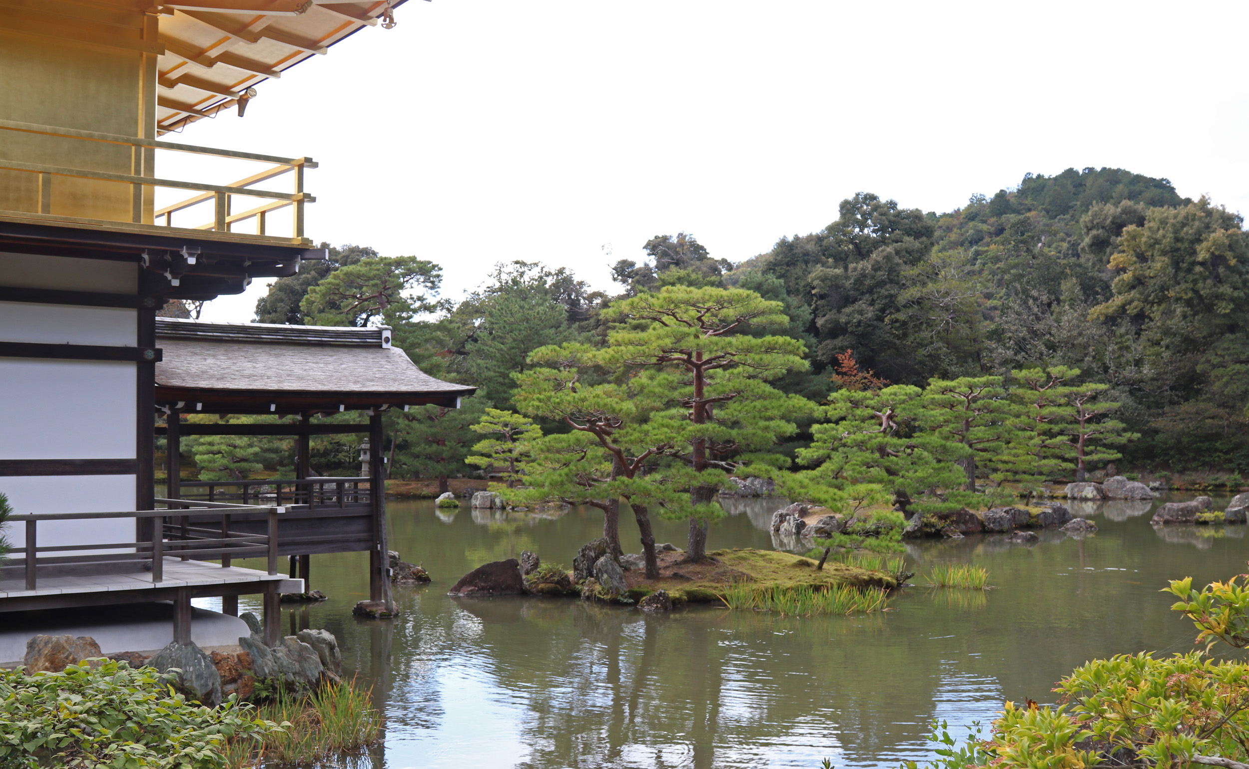Kinkakuji Temple_4