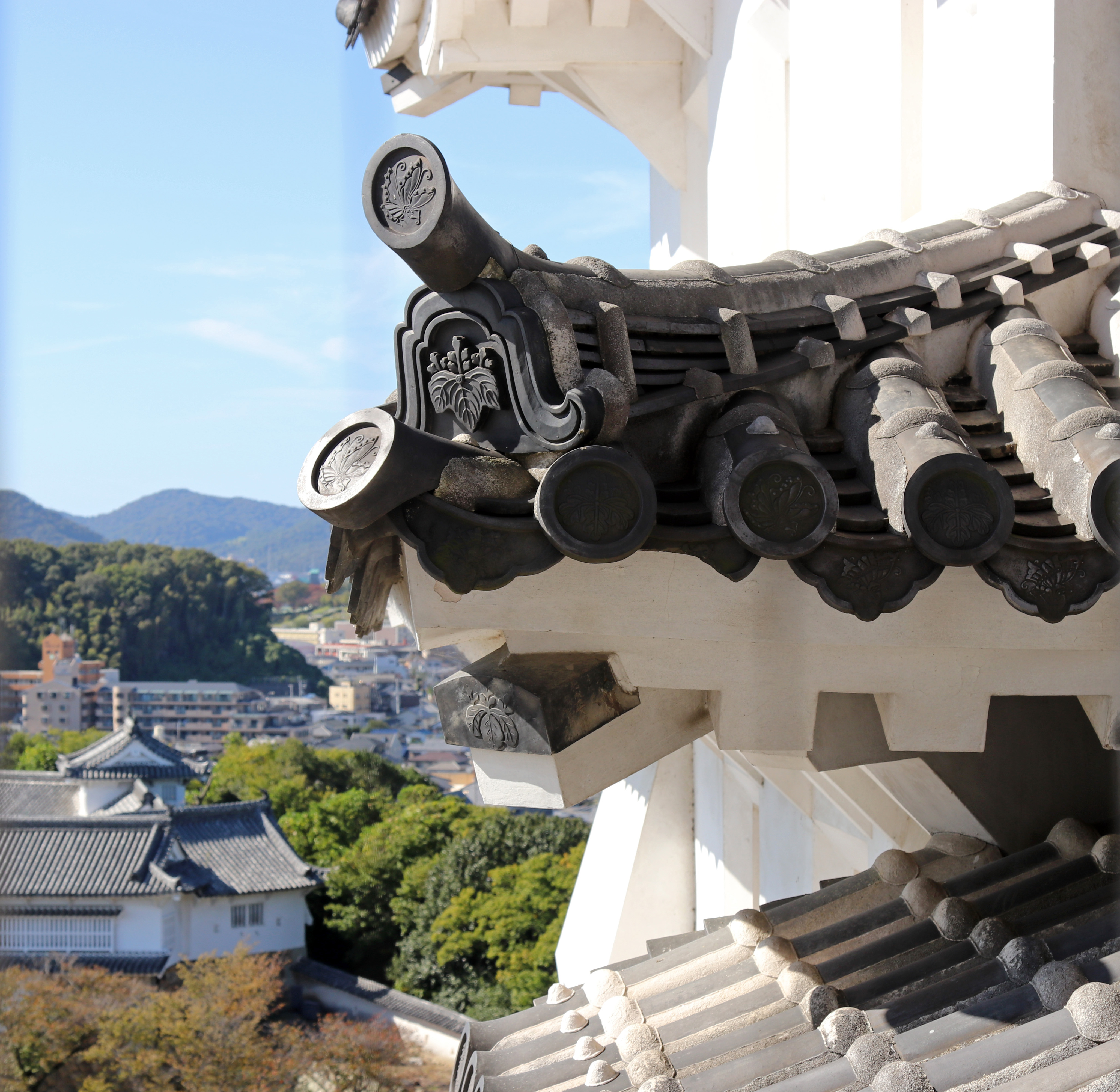 Views from Castle_Roof Views from Castle_Roof