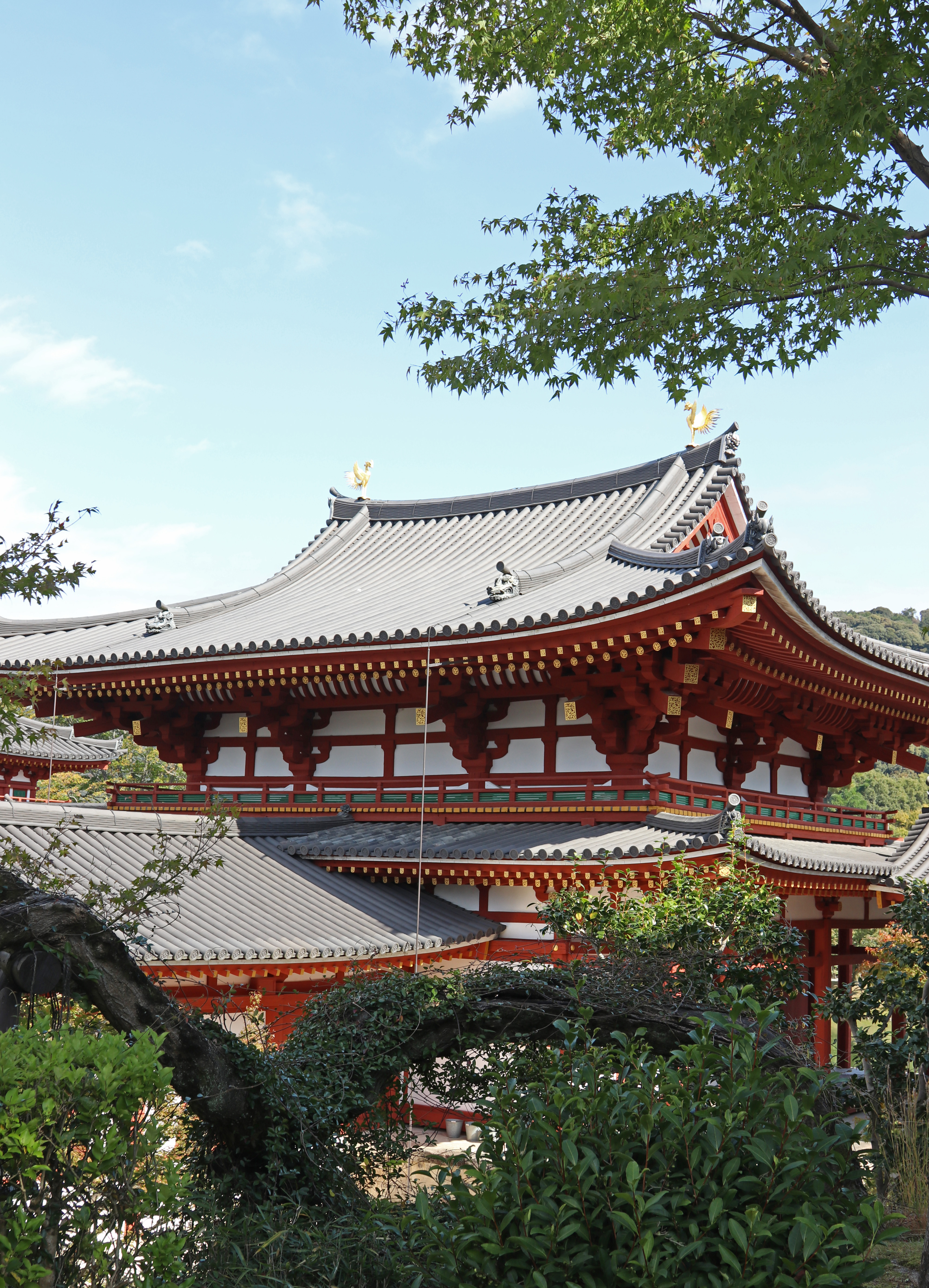 Phoenix_Byodoin_Temple 2