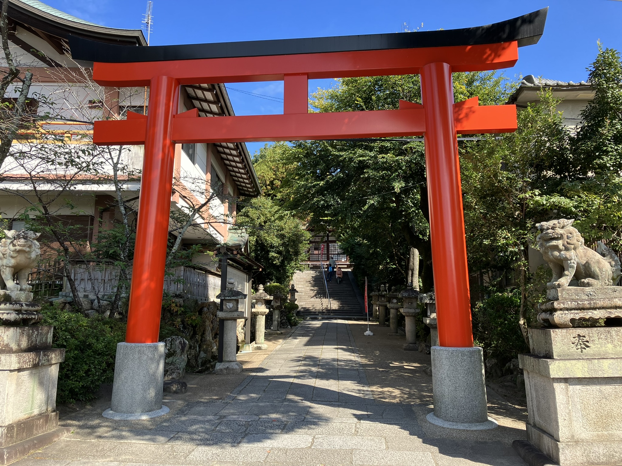Tori_Gate 1 Tori_Gate 1